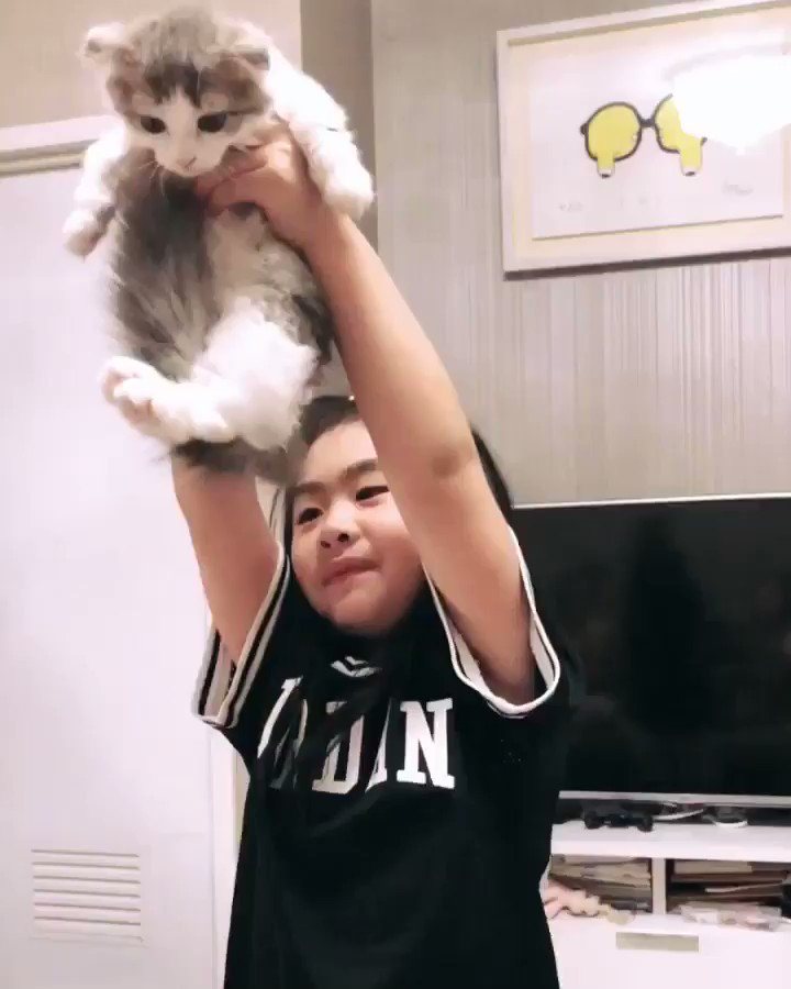 @bellyinsmile's photo on Lion King