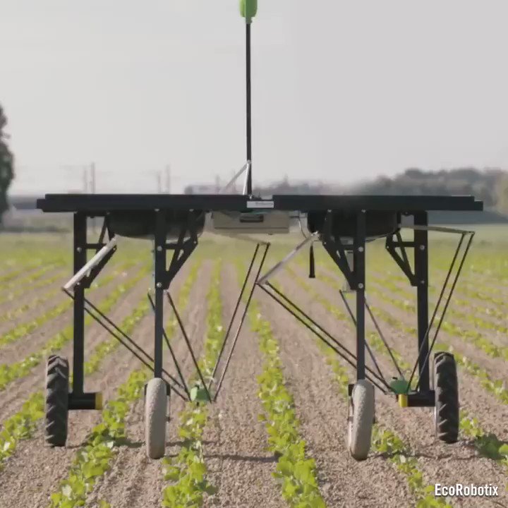 Producing the cultivation by solar power via @IntEngineering
#tech #digital #data
@omeroymak @WSWMUC @fklivestolearn @TopCyberNews @alvinfoo @dinisguarda @sebasincha @enricomolinari @TarakRindani @UrsBolt @HaroldSinnott @realColinMac @TerenceLeungSF