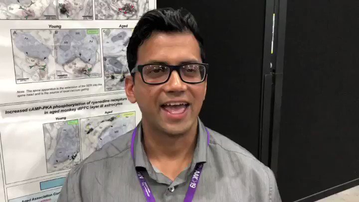 Notes from #AAIC19: Meet @alzassociation funded researcher, Dibs Datta, PhD from @Yale. Hear how he’s working to find answers. #ENDALZ