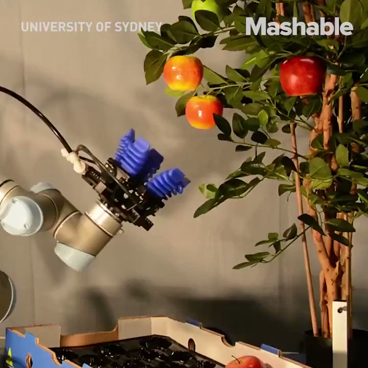 These farm-loving #robots could change the future of #agriculture. Want to be part of it? Contact us today! #aijobs #ai #aiskills #artificialintelligenceai #artificialintelligence #machinelearning #machinelearningalgorithms #futuretechnology #computerscience #computerengineer