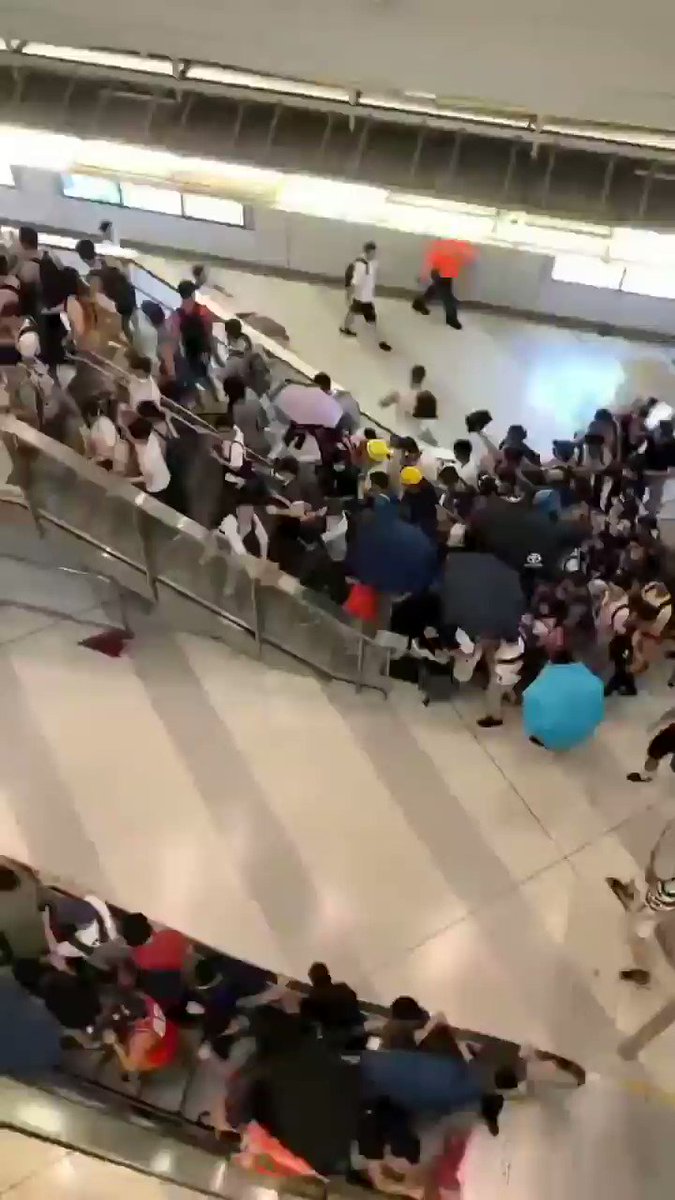 昨日、香港の元朗で、白シャツを着た反社会的勢力の一団が、ショッピングモールや地下鉄の駅、そして車内でまで無差別に市民を襲いました。しかし香港警察は彼らを放置し、身元や持ち物を調べることも、阻止することも逮捕することもしませんでした。
↓