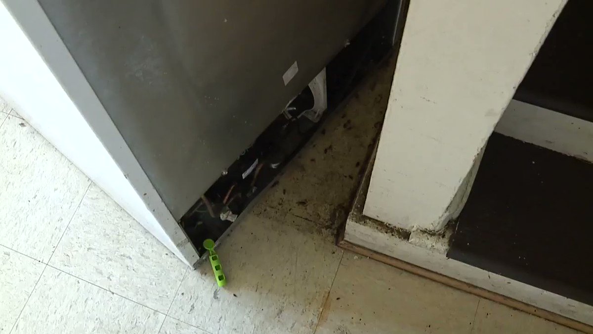 VIDEO: Dozens of roaches crawl out from below a refrigerator in the Inkster Housing Commission. A young mother lives here with two of young kids. We're looking for answers tonight @wxyzdetroit