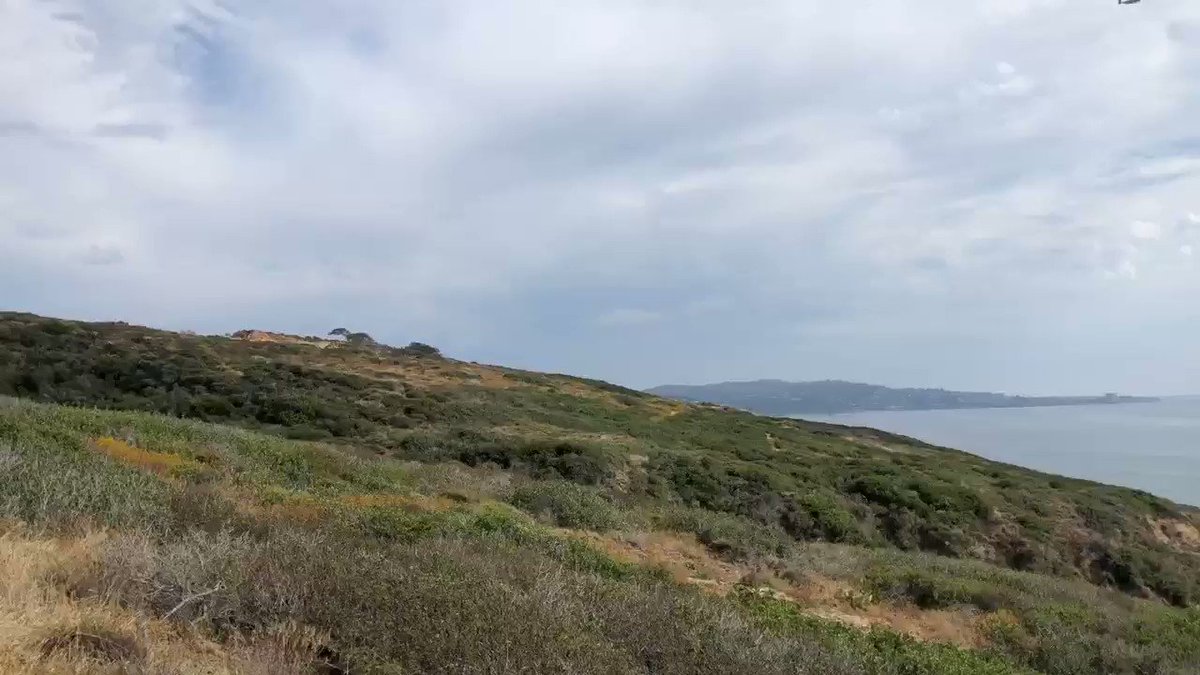 What to do on a @DelMarRacing dark day? So many choices. Today it’s Torrey Pines State Natural Reserve hiking trails.
