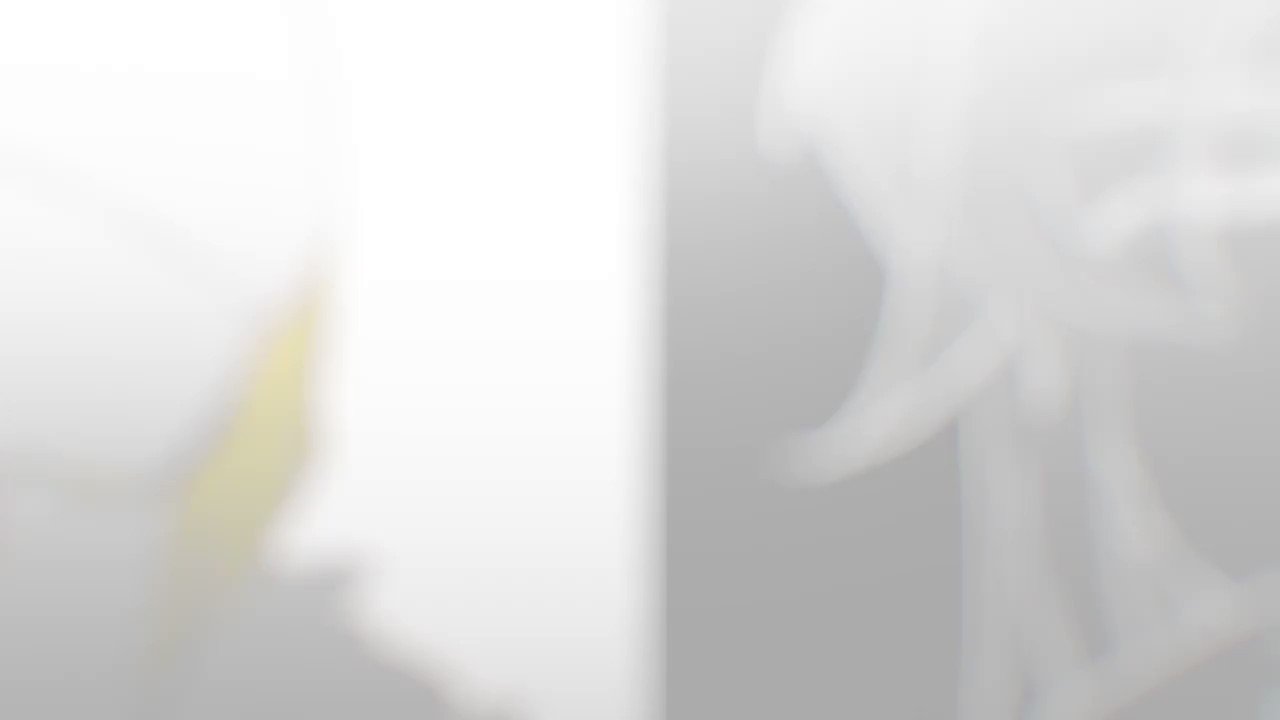 しづ Spinoid主題歌movie 滲む錆色 眩暈siren T Co Wdxopknbbx 主題歌公開されました T Co Vtlgracdkq Twitter
