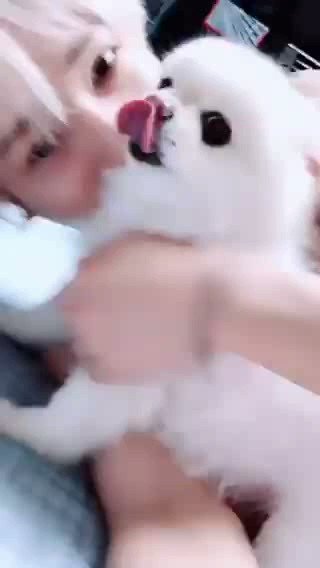 예쁜 우리 요정. 어제는 꼬밍이더니 오늘은 멜로네. 반려견 아가들이랑 행복한 시간 보내고 있구나. 뭐 하는지 궁금하단 말도 다 서치했는지 금방 올려준 당신에게 많이 고마워.
참 다정하고 스윗하고 사랑스러운 당신. 오늘 더 많이 사랑해.
#예성 #Yesung #김종운 #KimJongwoon