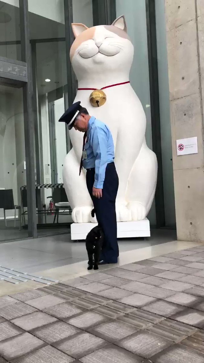 『フェイント👮‍♂️😺feint 』(2019/7/23) 🎨油断させてからの忍び足。やるニャ、ケンちゃん！#尾道 #千光寺公園 #尾道市立美術館 #黒猫 #cat #ニャー展 https://t.co/bj4Nxm0mWg