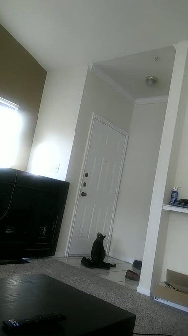 Daddy Ann_Sulu’s pics and videos