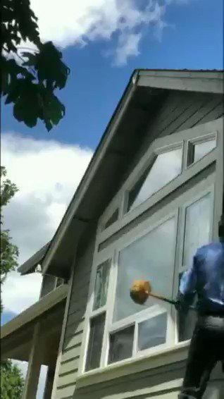 Insight Pest Solutions NW On Twitter Look At One Of Our Techs Knock 