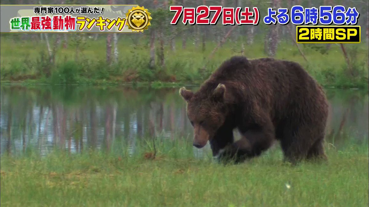 世界最強動物ランキングベスト 地球上で一番強い動物は何 速さと臭さも よろず堂通信 世界最強動物ランキングベスト 地球上で一番強い動物は何 速さと臭さも よろず堂通信