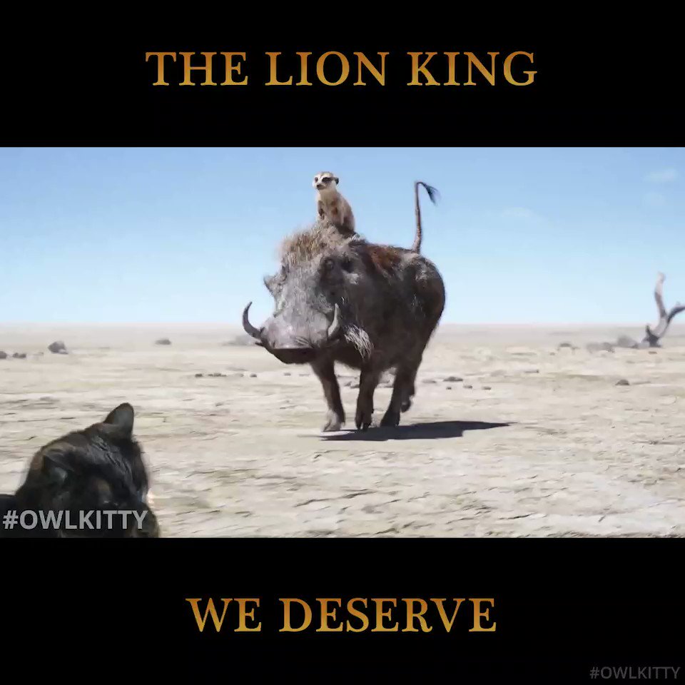 OwlKitty (@Owl__Kitty) on Twitter photo 2019-07-26 07:49:37 I’m a furry bird 🦁#LionKing #owlkitty #TheLionKing I’m a furry bird 🦁#LionKing #owlkitty #TheLionKing