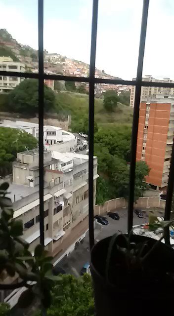Video insertado