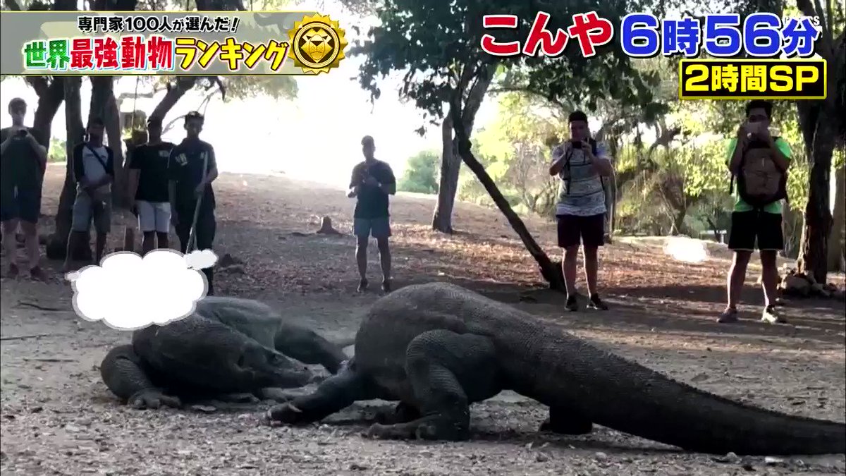 世界最強動物ランキングベスト 地球上で一番強い動物は何 速さと臭さも よろず堂通信 世界最強動物ランキングベスト 地球上で一番強い動物は何 速さと臭さも よろず堂通信