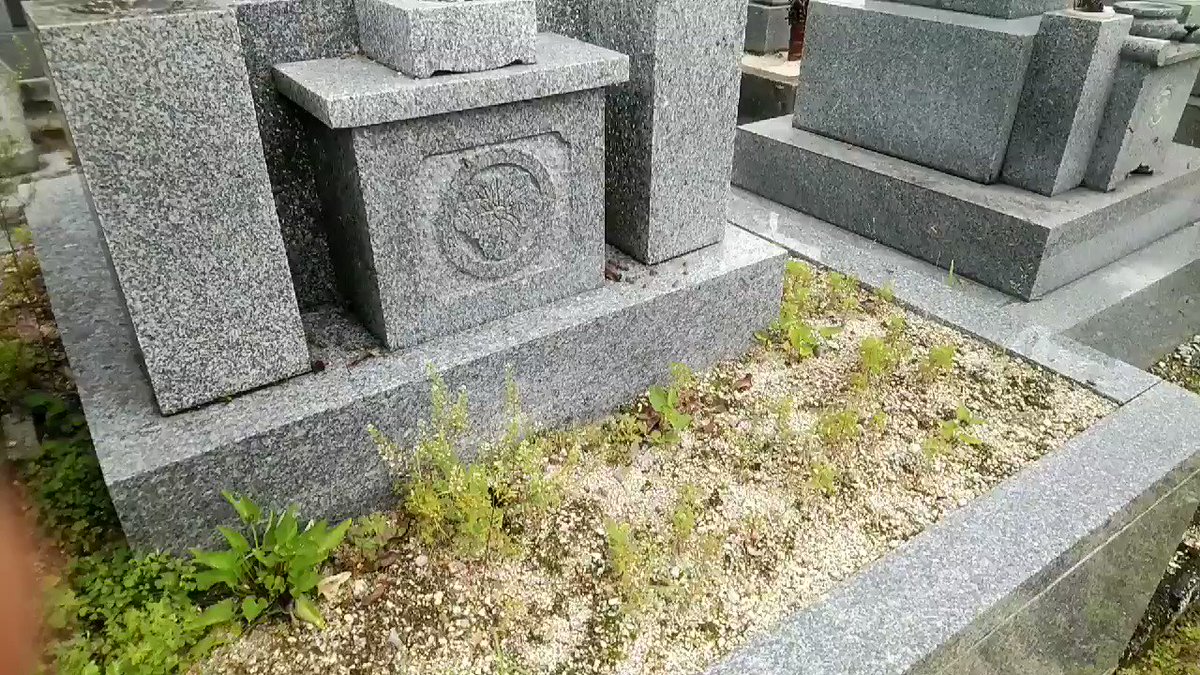 【衝撃】お墓まいりに行ったらお墓がなぜかミツバチの大群に囲まれていた・・・