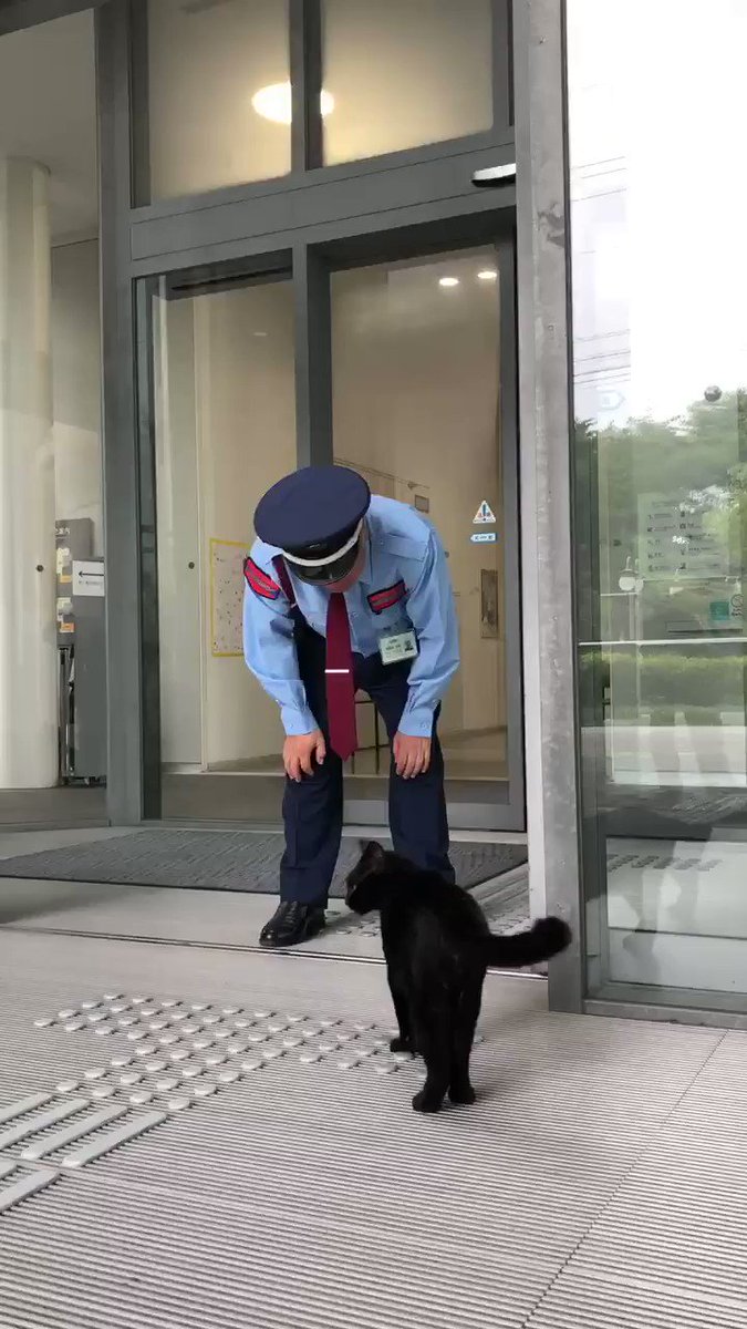 『ここまで😺up to here 』(2019/7/28) 🎨ケンちゃんに入館禁止エリアについて説明する警備員さん。#尾道 #千光寺公園 #尾道市立美術館 #黒猫 #cat #ニャー展 https://t.co/fr2DXLjWkq