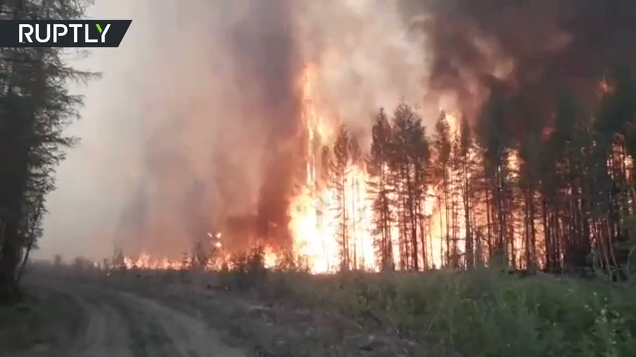 Вбудоване відео