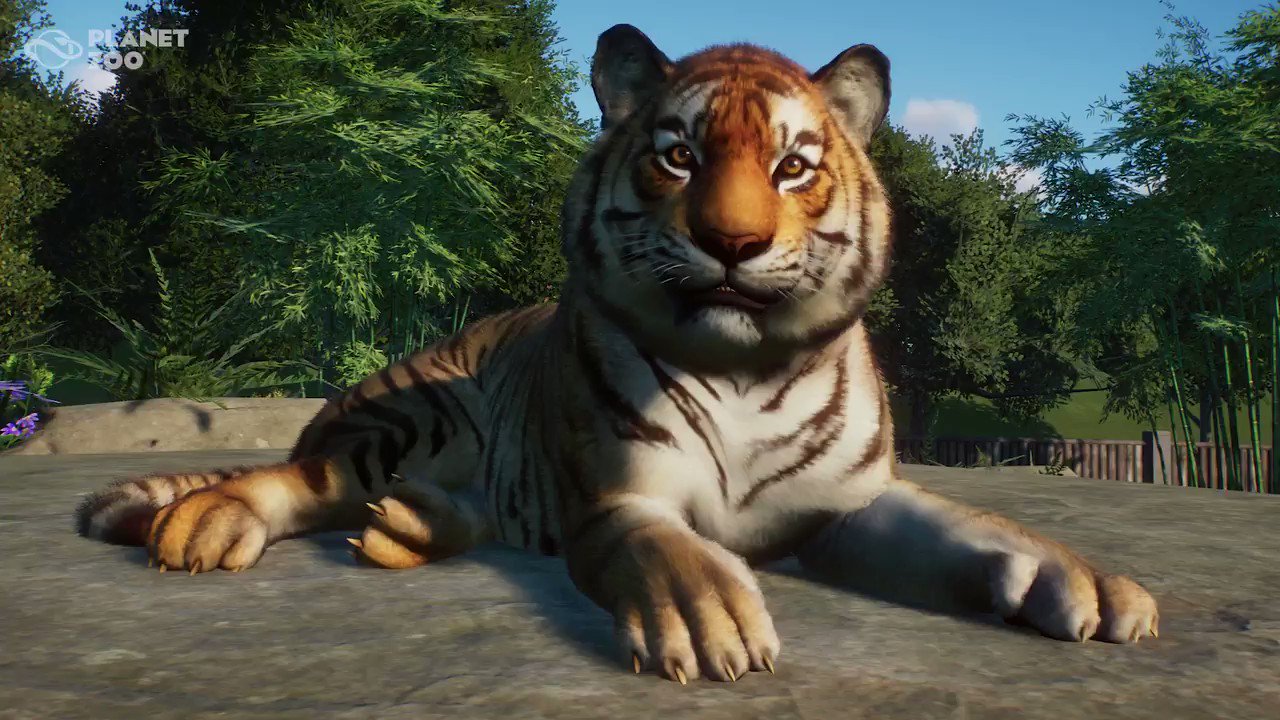 Planet Zoo on Twitter: 