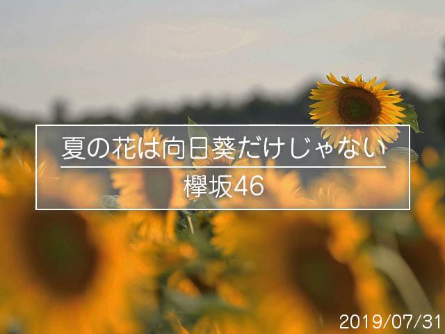 木田圭一 欅坂46 夏の花は向日葵だけじゃない オケはこちらからお借りしました T Co Yekucxwy T Co Cntmvfyznr Twitter