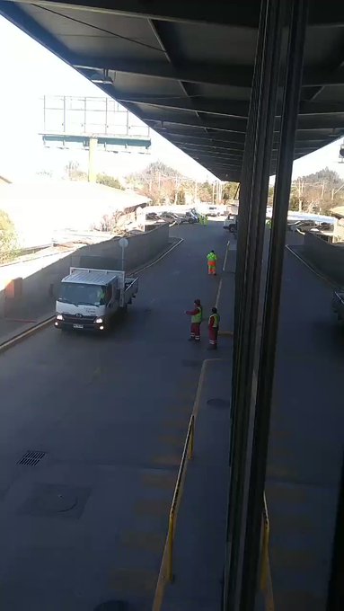 Video insertado