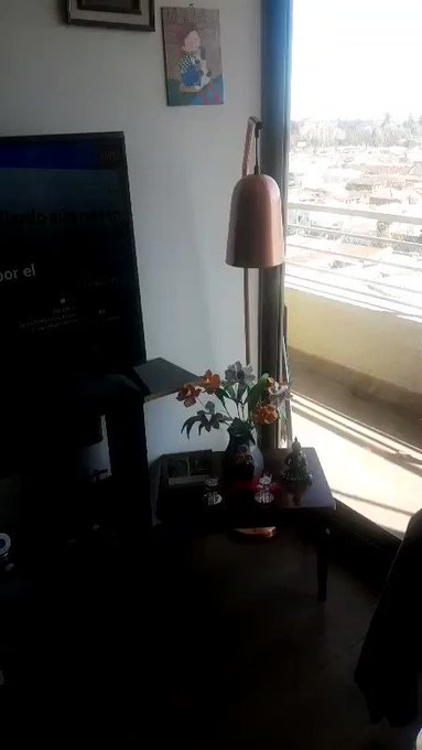 Video insertado