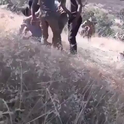 Ενσωματωμένο βίντεο