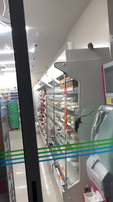 Vídeo incorporado