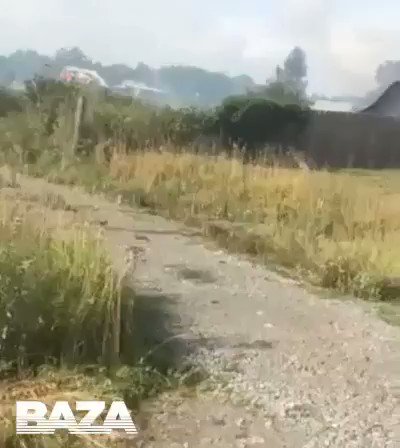 Встроенное видео