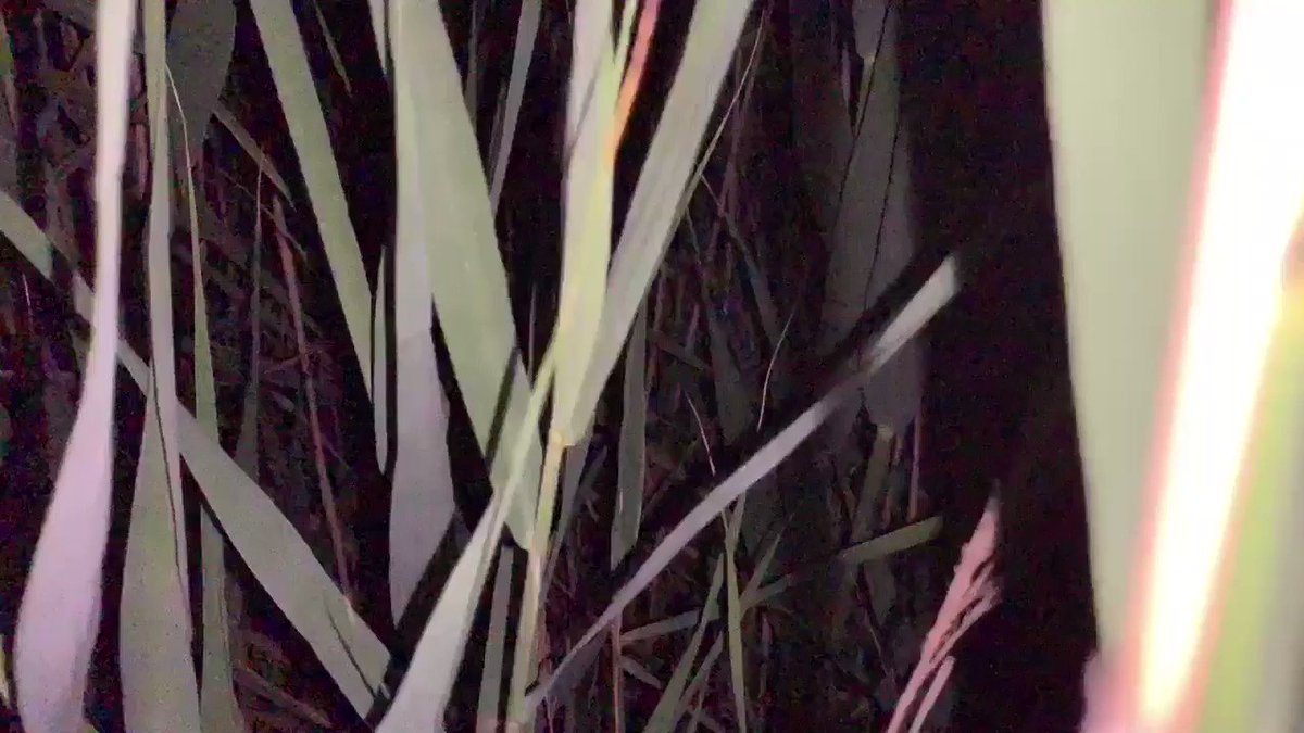 Joel Holmes (@joelswole) on Twitter photo 06/08/2019 12:21:26 Joel Holmes (@joelswole) on Twitter photo 06/08/2019 12:21:26