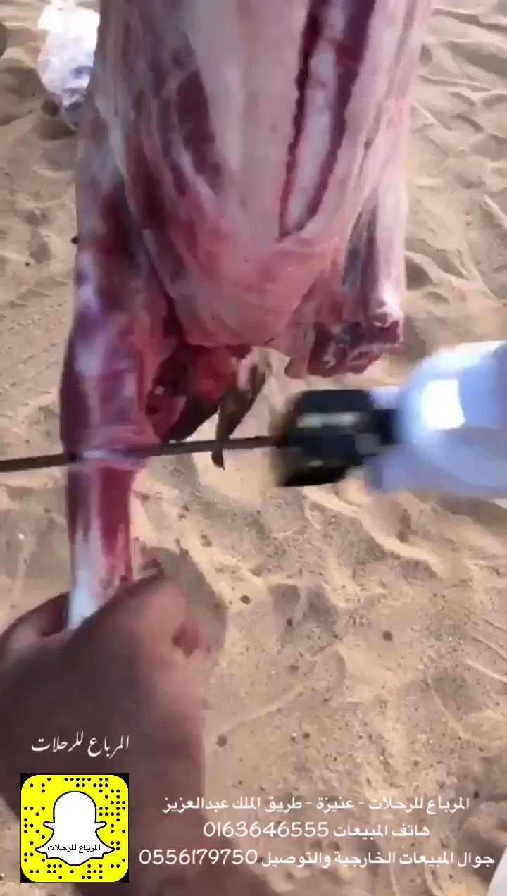المرباع للرحلات on X: "منشار اللحم الكهربائي يعمل بالشحن ( بيت - سيارة ) ( معه بطاريتين وريشتين للتقطيع ) السعر ٤٢٠ ريال هاتف المبيعات 0163646555 جوال المبيعات الخارجية والتوصيل 0556179750 https://t.co/xBs9Skh63T" / X المرباع للرحلات on X: "منشار اللحم الكهربائي يعمل بالشحن ( بيت - سيارة ) ( معه بطاريتين وريشتين للتقطيع ) السعر ٤٢٠ ريال هاتف المبيعات 0163646555 جوال المبيعات الخارجية والتوصيل 0556179750 https://t.co/xBs9Skh63T" / X