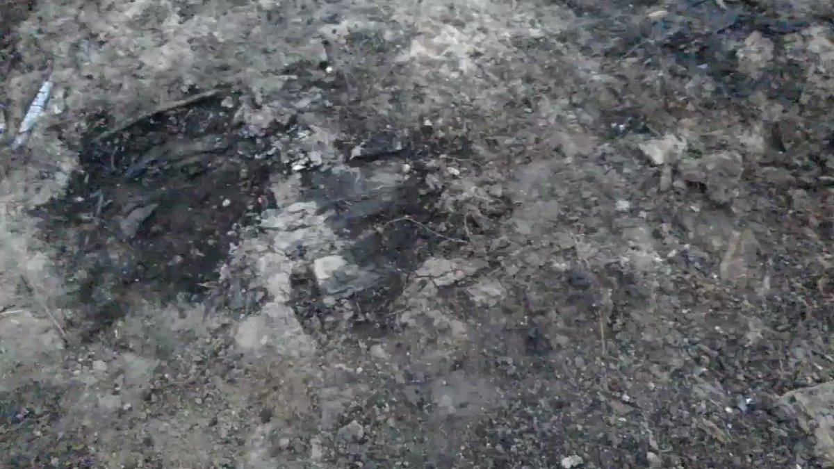 アウトドアの季節！事故の原因にもなる意外な注意点とは⁉