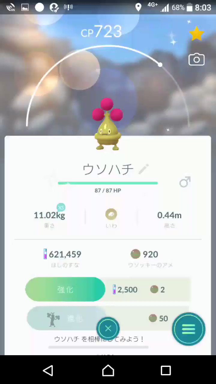 ウソハチ色違い Twitter Search Twitter
