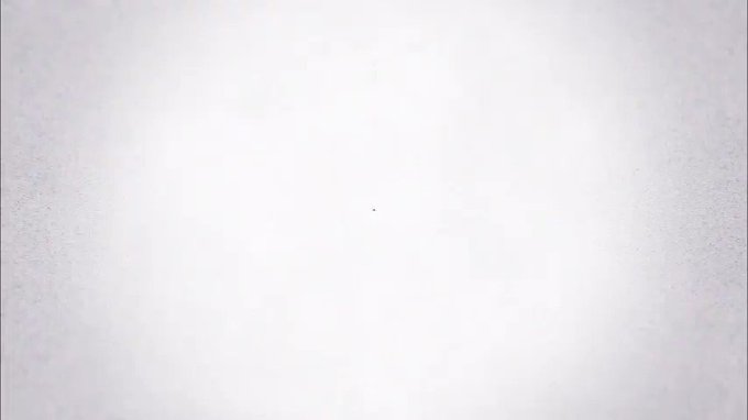 Vídeo incorporado