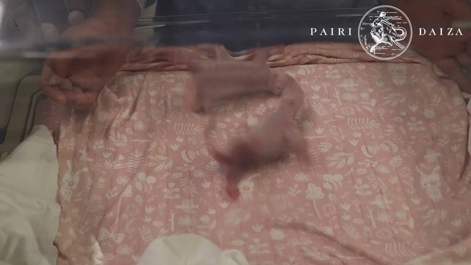 Video insertado