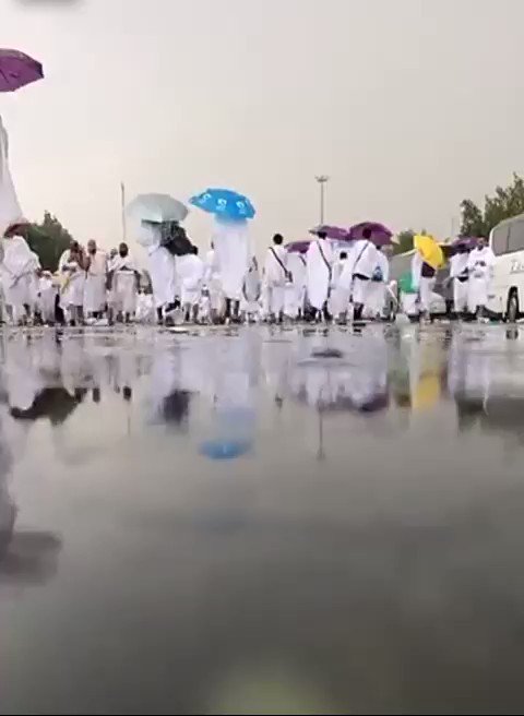 فيديو مُضمّن