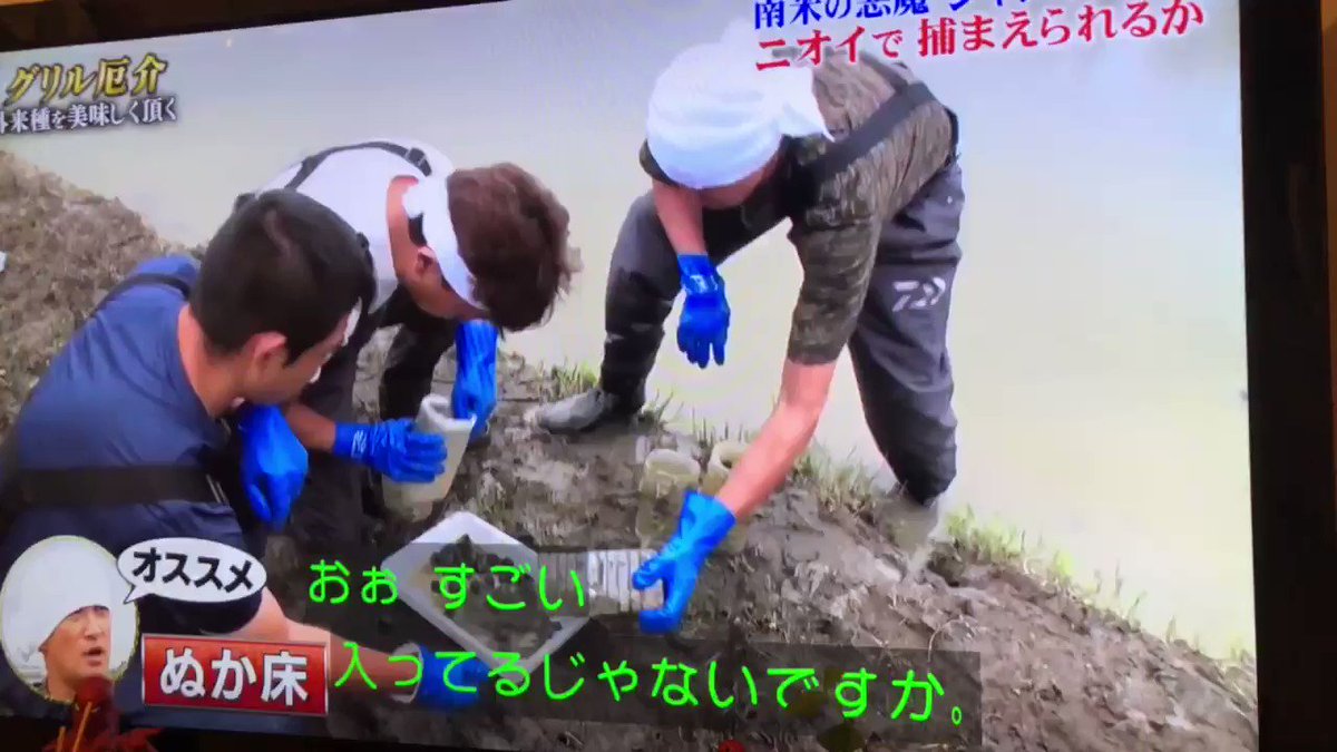 この番組やっぱり凄いな ジャンボタニシの捕獲方法 が鉄腕dashで放送され農家方たちが感謝の声 動画 Lion News