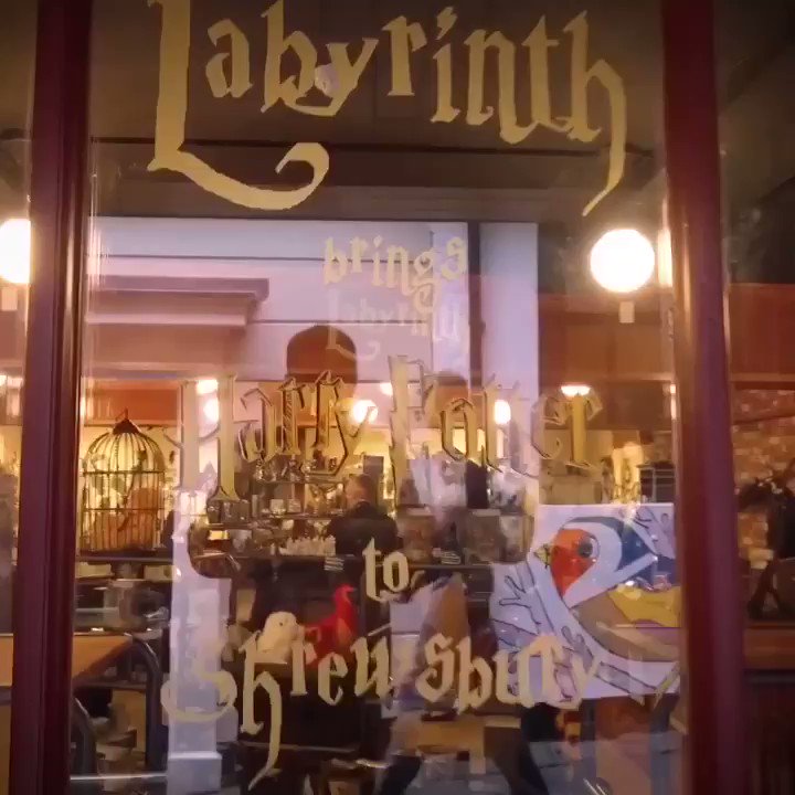 Labyrinth Brings Harry Potter To Shrewsbury
