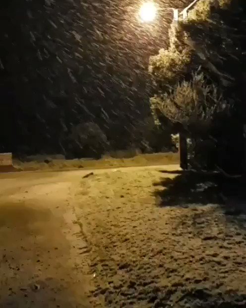 Video insertado