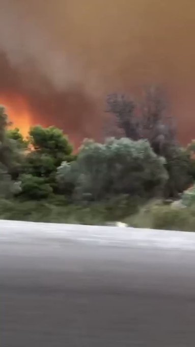 Ενσωματωμένο βίντεο