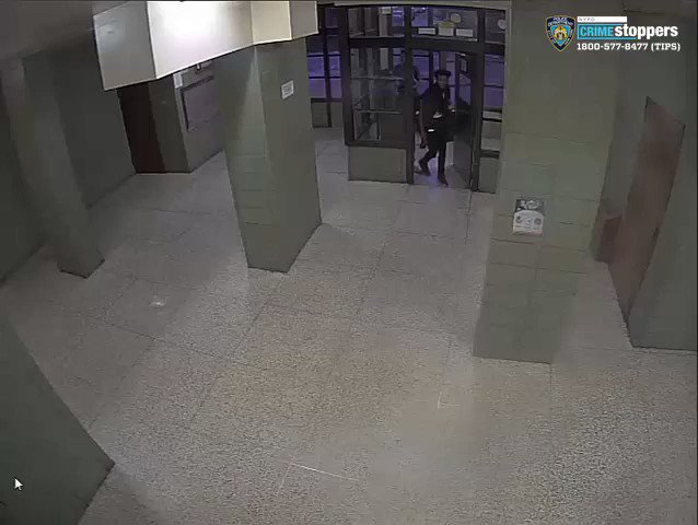 🚨WANTED for ATTEMPTED ROBBERY: On 8/12 between 5:00 AM and 5:40 AM in Williamsburg, the suspects punched 3 men in 3 separate incidents and searched their pockets. No property was taken. The @NYPDHateCrimes Task Force is investigating. Any info, call or DM @NYPDTips 800-577-TIPS.
