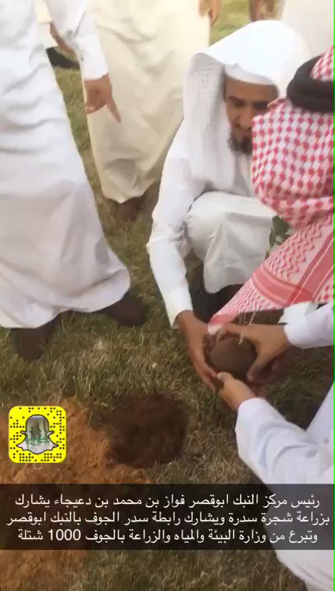رئيس مركز النبك ابو قصر: فواز بن محمد بن دعيجا. يشارك في زراعة شتلة سدر مع فريق سدر الجوف بالنبك وبالتعاون مع فرع وزارة البيئة والزراعة والمياه بالجوف حيث تبرعت للرابطة بعدد 1000 شتلة سدر .