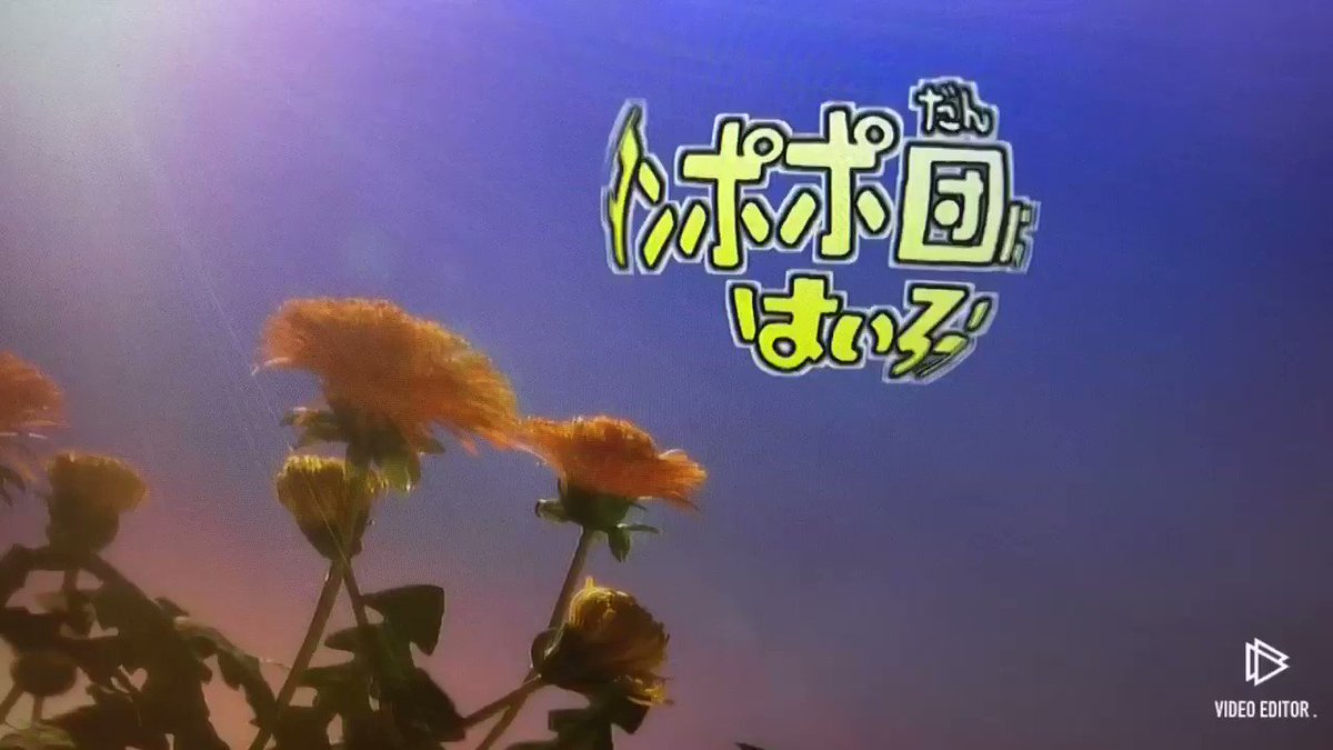 杏月お姉さんだいすき たんぽぽ団にはいろう 今井ゆうぞうお兄さん はいだしょうこお姉さん おかあさんといっしょ60年スペシャル 杏月お姉さんだいすき たんぽぽ団にはいろう 今井ゆうぞうお兄さん はいだしょうこお姉さん おかあさんといっしょ60年スペシャル