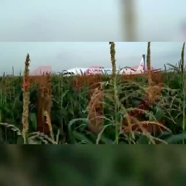 Embedded video