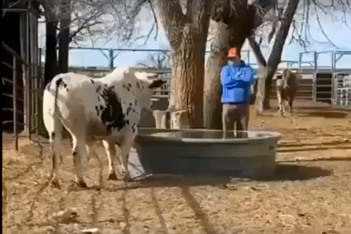 Sigo riéndome con esto como un Gili.... jajajajajaja