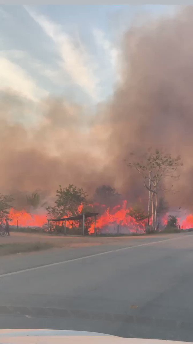 a reminder that the amazon forest has been on fire for 3 weeks now and because of the lack of media coverage people don’t know about it. this is one of most important ecosystems on earth