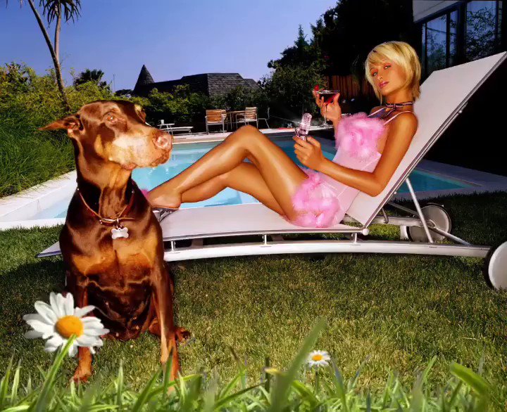 Paris Hilton (@ParisHilton) on Twitter photo 2019-08-19 00:14:30 #SummerVibes 💕👸🏼💅🏻💕 #SummerVibes 💕👸🏼💅🏻💕