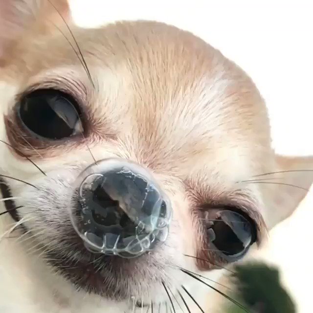 Me: “are you sure you don’t care that I’m sick?”
Babe: *hesitantly* “no, I don’t care”
Me, waiting for my besitos:
https://t.co/vkBydl3VlM