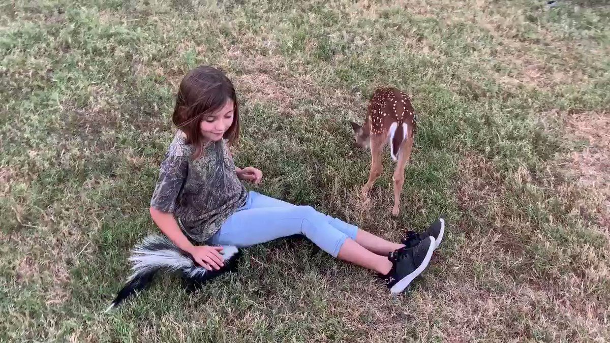 little sister nature (@partygetsme__) on Twitter photo 20/08/2019 22:23:18 A little insight about the animals A little insight about the animals