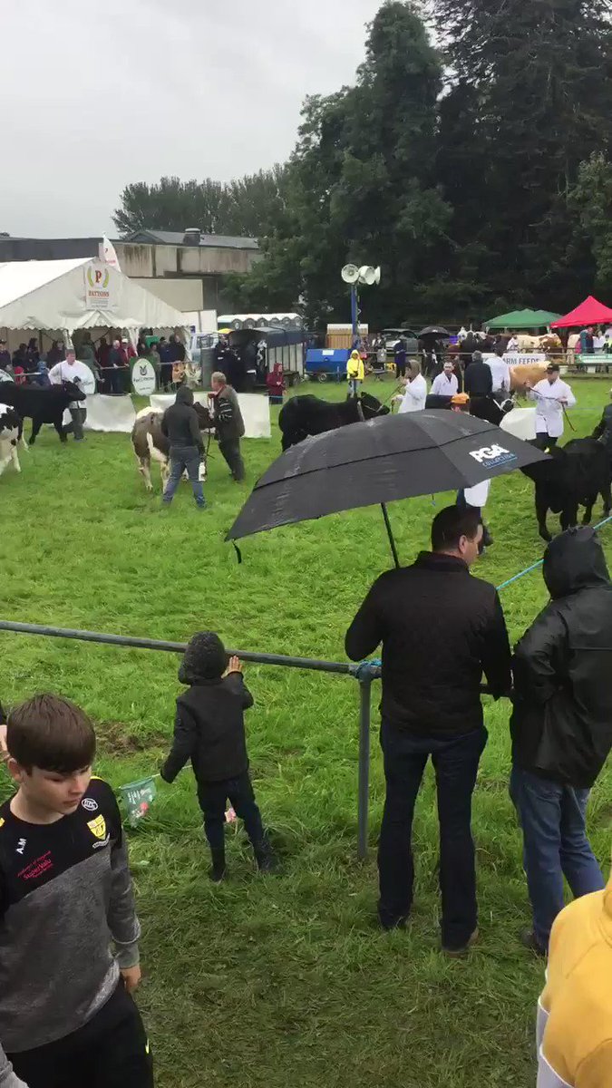The show goes on here in the cattle section at @virginiashow despite unfavorable weather conditions. Fine beef stock on display with the @BaileysCow competition set to take place in the afternoon https://t.co/B6FK5UUmTF