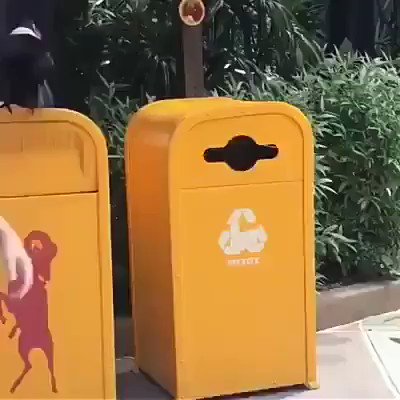 RT @InterestingSci1: If a bird can do it,
you can do it! https://t.co/y9BFUouKkg