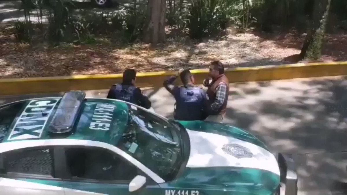 Polis se PERSIGNAN tras recibir la primer MORDIDA del día!!!*Muchos policías @SSP_CDMX prefieren CAZAR ciudadanos mientras las RATAS "chambean" FELICES! Video: @gretadice