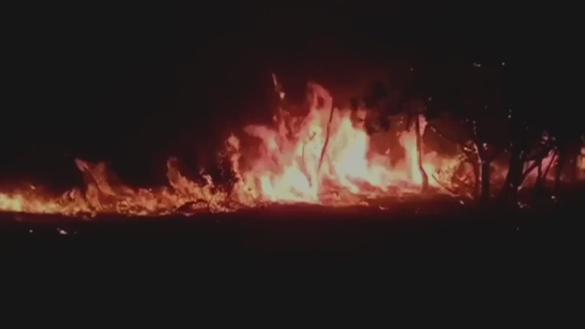 President Bolsonaro says the fires are being investigated but says the government lacks the resources to fight the flamesFollow the latest: http://bbc.in/31VWHy6